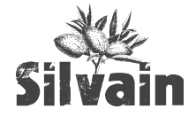 Nougats Silvain